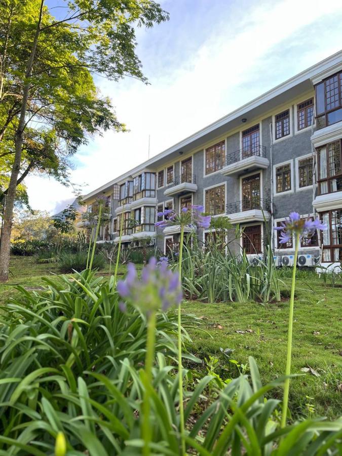 Aroso Paco Hotel بيدرا أزول المظهر الخارجي الصورة The Faculty of Law