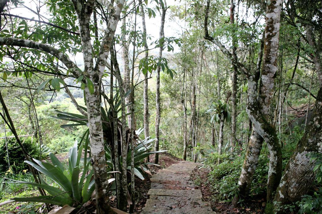 Aroso Paco Hotel بيدرا أزول المظهر الخارجي الصورة A trail in the park